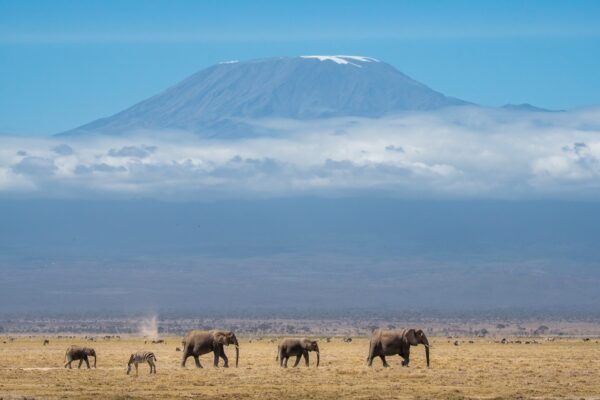 Tanzania