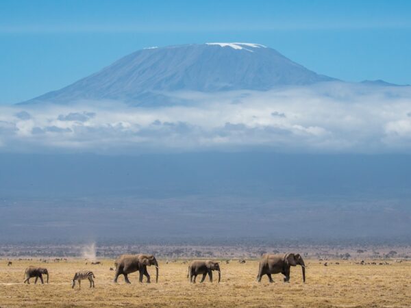 Tanzania