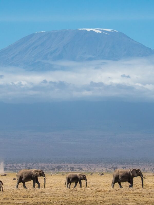 Tanzania